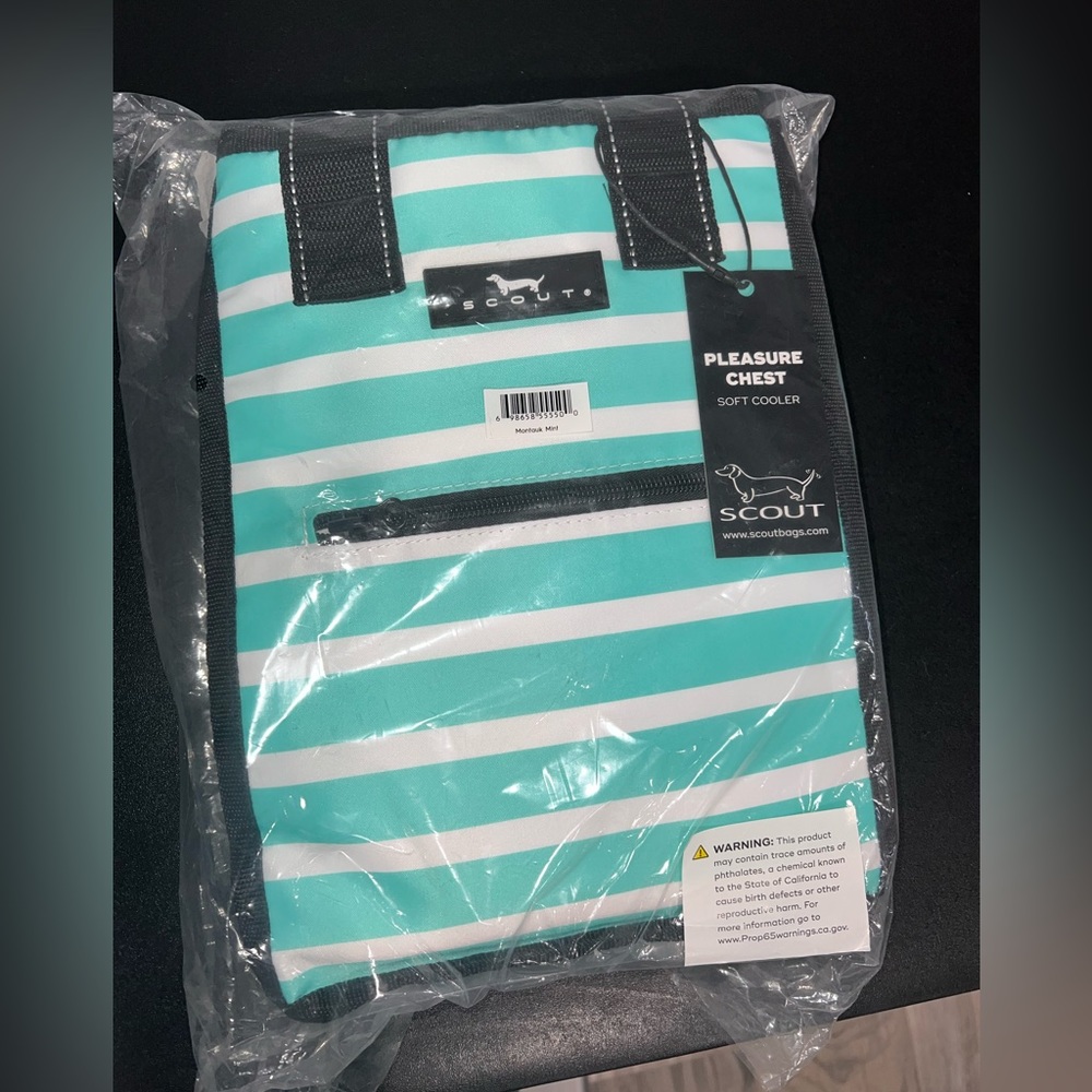 SCOUT PLEASURE CHEST SOFT COOLER